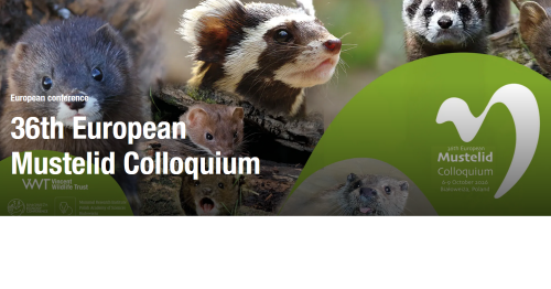 36th European Mustelid Colloquium/BEC